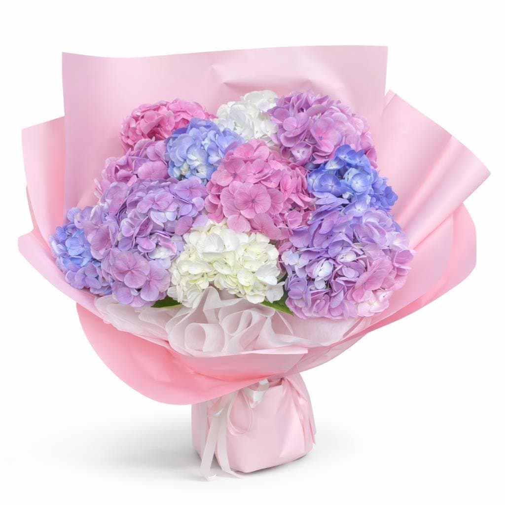 Elegant Hydrangea Bouquet Mix with Mixed hydrangeas in pink, purple, white, and blue colors, wrapped in paper with a ribbon.