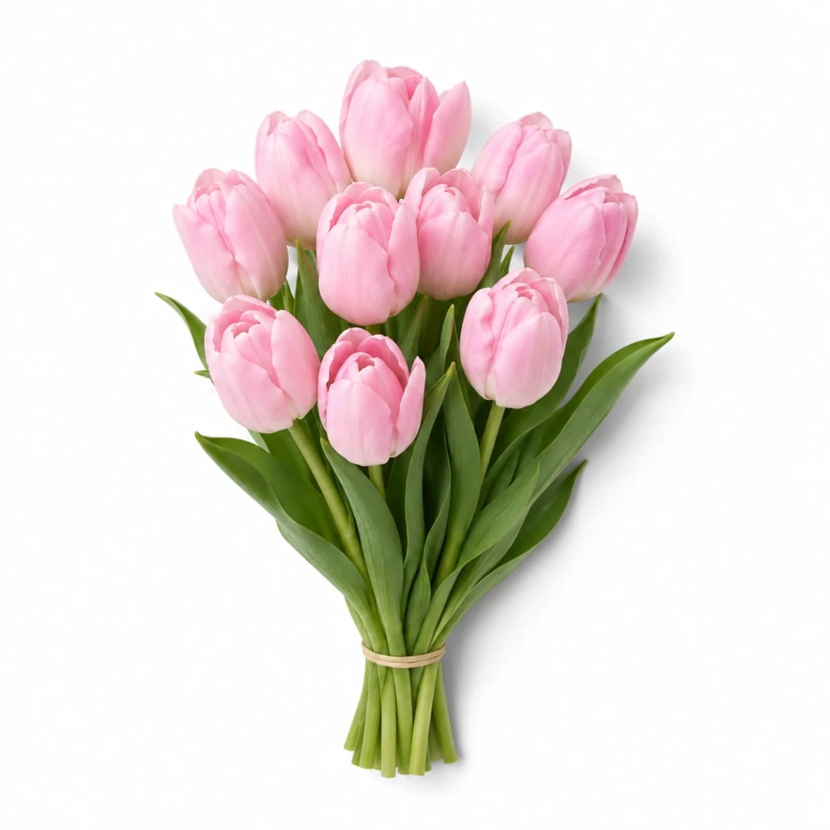 Tulip Bouquet