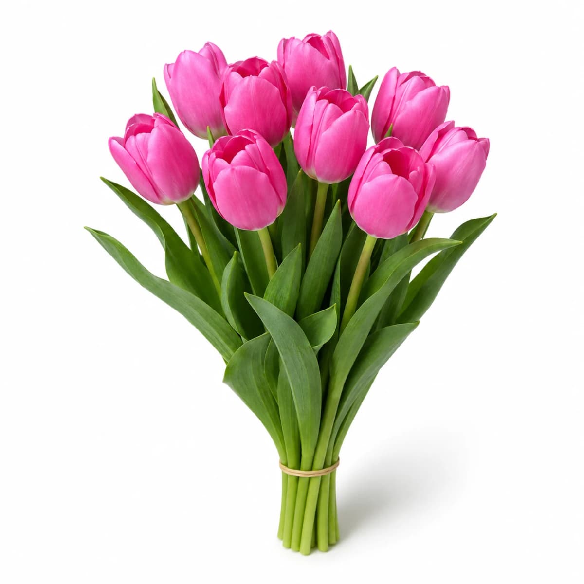 Tulip Bouquet Pink
