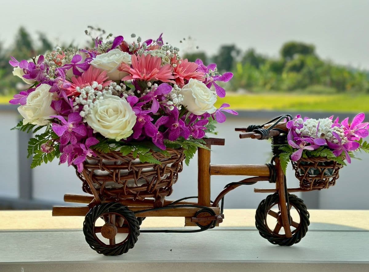 Flower bicycle basket arrangement with purple orchids, white roses, pink gerbera daisies, and white baby’s breath in a decorative mini bicycle basket. This floral basket has a soft pink, white, and purple color palette and is suitable for birthday flowers, congratulations flowers, thank you gifts, and decorative flower delivery in Chiang Mai.
Size : Length 60cm, Height 40cm