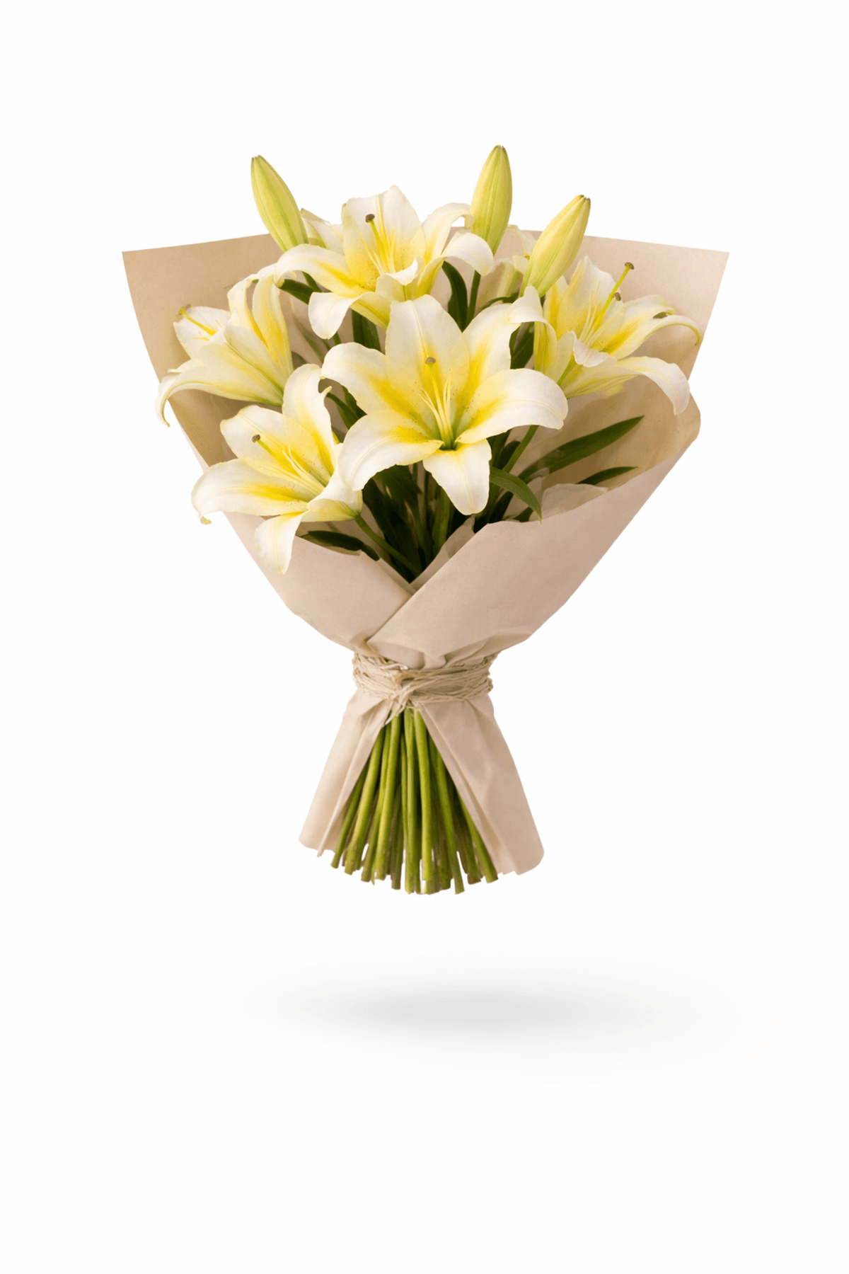A bright and cheerful bouquet of yellow lilies, symbolizing happiness and positivity.
Fresh, vibrant, and elegantly arranged.
Perfect for celebrations, thank-you gifts, or sending warm wishes.